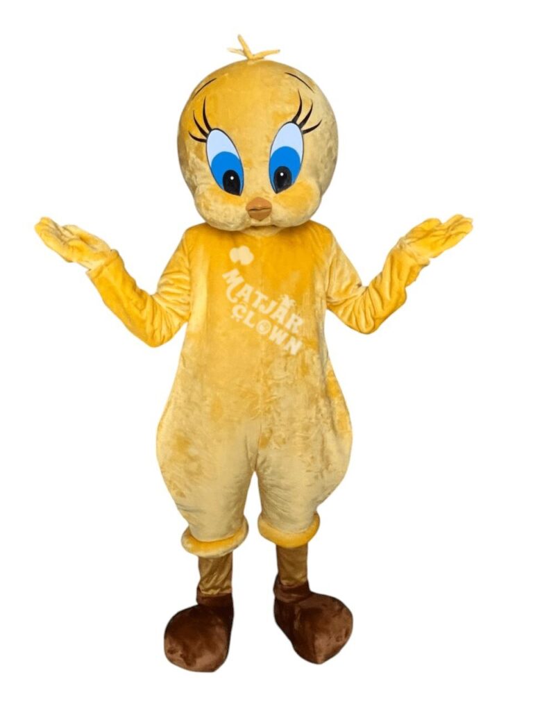 Mascotte Tweety– Une touche de magie pour vos fêtes et anniversaires ✨